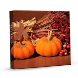 Harmonogram listopad 2020