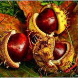 Harmonogram wrzesień 2023