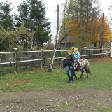 Wycieczka do Stajni Pasymo, październik 2015