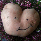 Harmonogram październik 2023