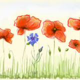 Bajkowa Kraina – Przedszkolem Integracyjnym