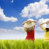 Sierpień 2018, harmonogram