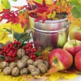 Harmonogram październik 2017