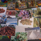 Przyprawy z Przedszkolnej Manufaktury, listopad 2016