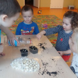 Przedszkolny zielony ogródek