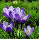 Harmonogram wydarzeń kwiecień 2018