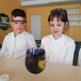 Warsztaty chemiczne w przedszkolu – Akademia Twórcza Ulala