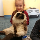 Światowy Dzień Kota w Bajkowej Krainie