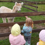 Wycieczka inauguracyjna Alpaca Home