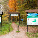 Wycieczka do Puszczy Niepołomickiej – ścieżka dydaktyczna